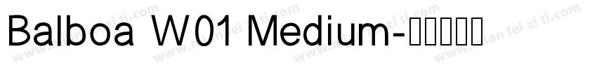 Balboa W01 Medium字体转换